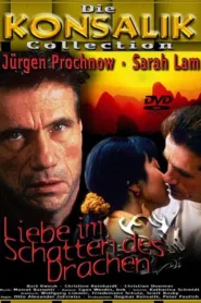 Liebe im Schatten des Drachen (1998)