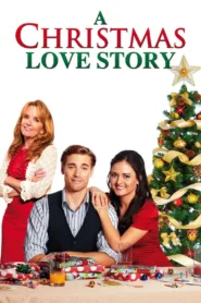 A Christmas Love Story (2012)